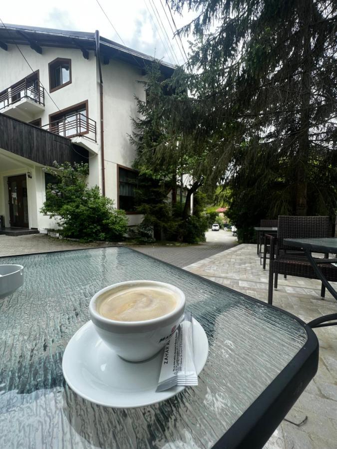 Chalet Minut Vatra Dornei Exteriér fotografie